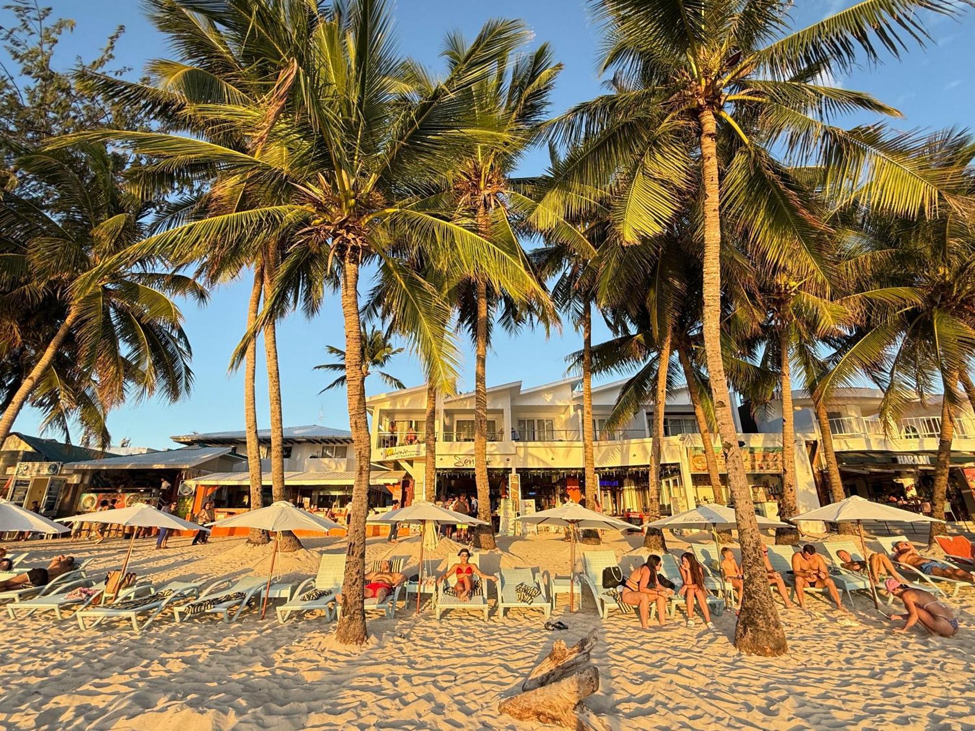 Calypso Beach And Dive Resort Manoc-Manoc Экстерьер фото